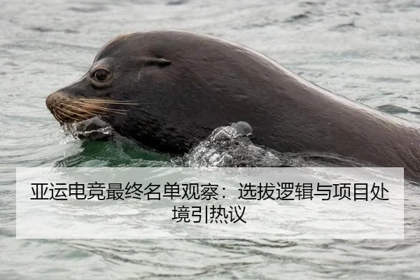 亚运电竞最终名单观察：选拔逻辑与项目处境引热议